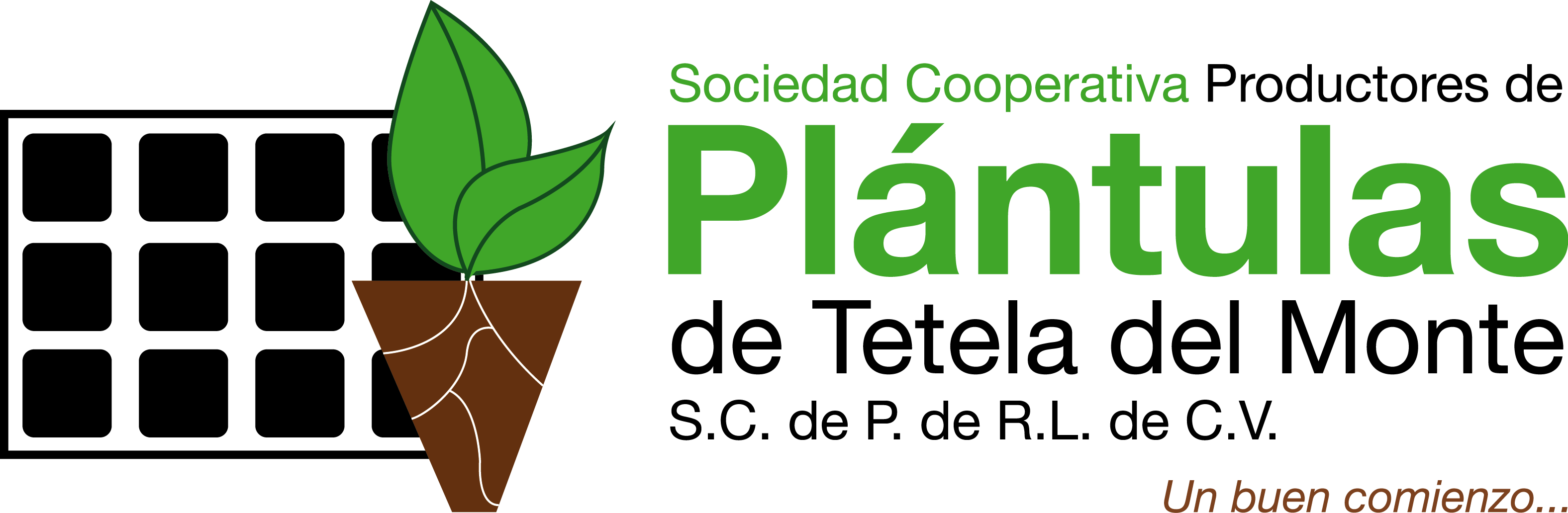 Plántulas de Tetela